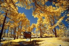 Cuyamaca Rancho State Park