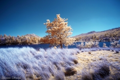 Cuyamaca Rancho State Park