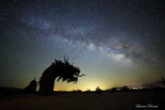 Anza-Borrego Desert