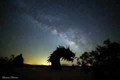 Anza-Borrego Desert