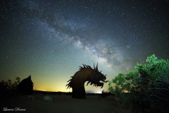 Anza-Borrego Desert