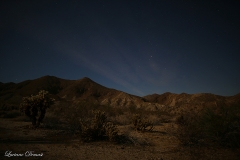 Anza-Borrego Desert