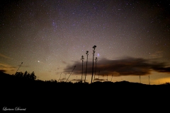 Anza-Borrego Desert