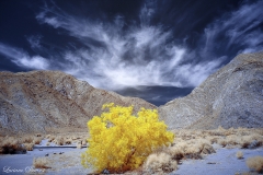 Anza-Borrego Desert, San Diego, California