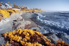 La Jolla Cove