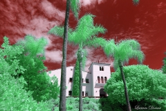 San Diego State University