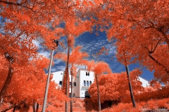 San Diego State University