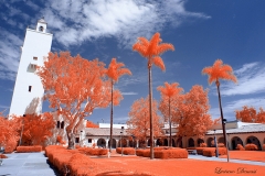 San Diego State University