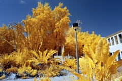 San Diego State University