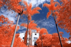 San Diego State University