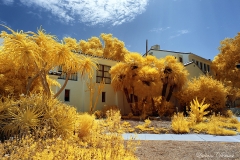 San Diego State University