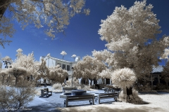 San Diego State University