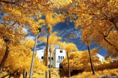 San Diego State University