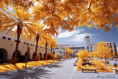 San Diego State University