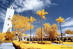 San Diego State University