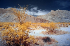 INFRARED_ANZA_BORREGO_APRIL16_2017 (25)_FINAL_01