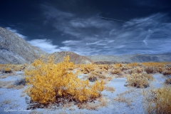 INFRARED_ANZA_BORREGO_APRIL16_2017 (26)_FINAL_01