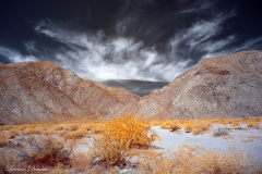 INFRARED_ANZA_BORREGO_APRIL16_2017 (27)_FINAL_01