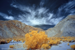 INFRARED_ANZA_BORREGO_APRIL16_2017 (29)_FINAL_01