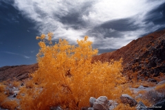 INFRARED_ANZA_BORREGO_APRIL16_2017 (40)_FINAL_01