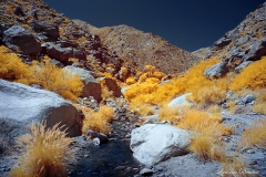 INFRARED_ANZA_BORREGO_APRIL16_2017 (44)_FINAL_01