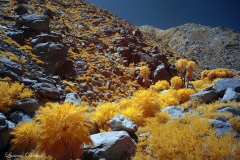 INFRARED_ANZA_BORREGO_APRIL16_2017 (54)_FINAL_01