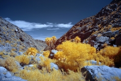 INFRARED_ANZA_BORREGO_APRIL16_2017 (68)_FINAL_01