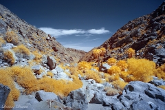 INFRARED_ANZA_BORREGO_APRIL16_2017 (78)_FINAL_01