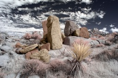 Anza-Borrego Desert