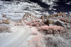 Anza-Borrego Desert