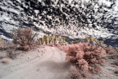 Anza-Borrego Desert