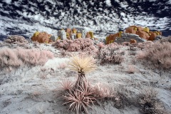 Anza-Borrego Desert