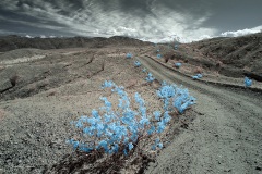 Anza-Borrego Desert