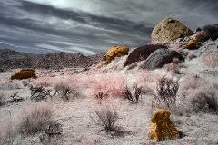 Anza-Borrego Desert