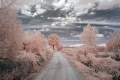 INFRARED_AREZZO_AUG16_2019-20_FINAL_10