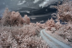 INFRARED_AREZZO_AUG16_2019-23_FINAL_10