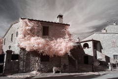 INFRARED_AREZZO_AUG16_2019-35_FINAL_10