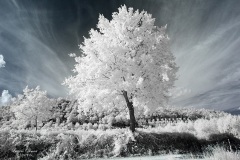 INFRARED_AREZZO_AUG16_2019-41_FINAL_14