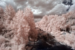 INFRARED_AREZZO_AUG16_2019-6_FINAL_10