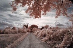 INFRARED_AREZZO_AUG16_2019-30_FINAL_10