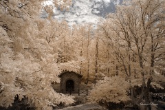 INFRARED_CAMALDI_AUG15_2019-29_FINAL_06