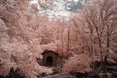 INFRARED_CAMALDI_AUG15_2019-29_FINAL_10