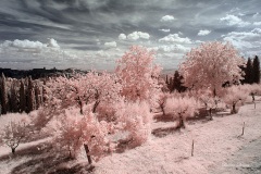 INFRARED_PERUGIA_AUG_17_2019_695-66_FINAL_10