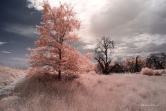 INFRARED_VOLCAN_MOUNT_SEPT_02_2019_695-16_FINAL_10