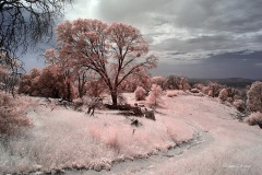 INFRARED_VOLCAN_MOUNT_SEPT_02_2019_695-19_FINAL_10