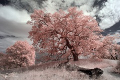 INFRARED_VOLCAN_MOUNT_SEPT_02_2019_695-30_FINAL_10