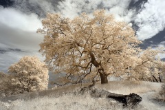 INFRARED_VOLCAN_MOUNT_SEPT_02_2019_695-30_FINAL_17