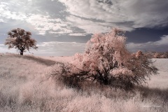 INFRARED_VOLCAN_MOUNT_SEPT_02_2019_695-79_FINAL_10