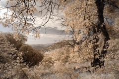 INFRARED_VOLCAN_MOUNT_SEPT_02_2019_695-93_FINAL_17