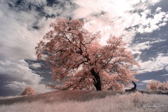 INFRARED_VOLCAN_MOUNT_SEPT_02_2019_695-31_FINAL_10